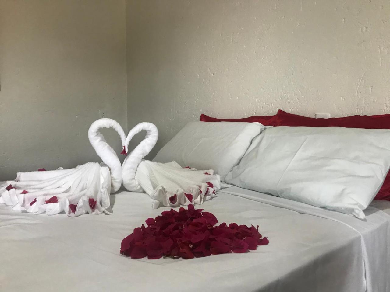 לואיס קורייה Leao Beach Pousada מראה חיצוני תמונה